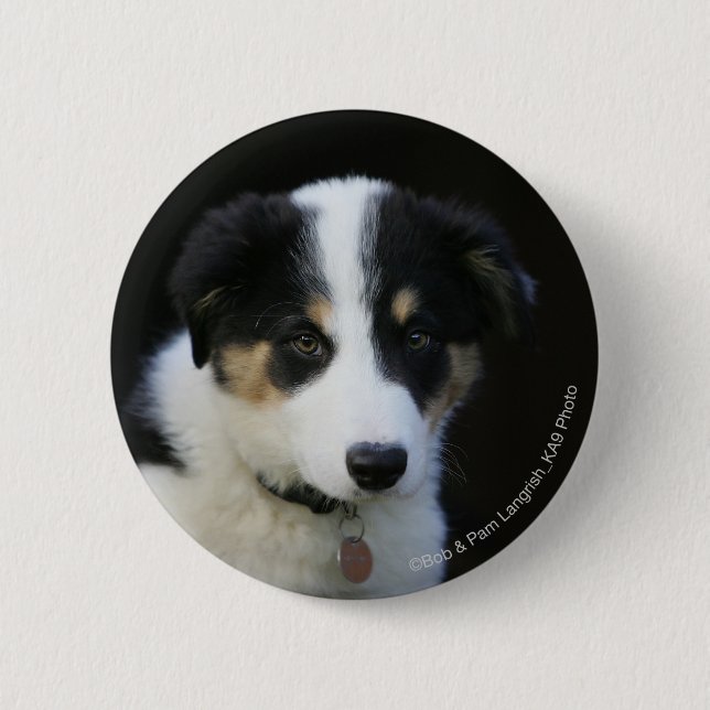 12 Week Old Border Collie Puppy 6 Cm Round Badge (Front)