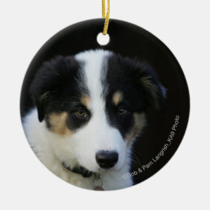 12 Week Old Border Collie Puppy Ceramic Tree Decoration