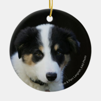 12 Week Old Border Collie Puppy Ceramic Tree Decoration