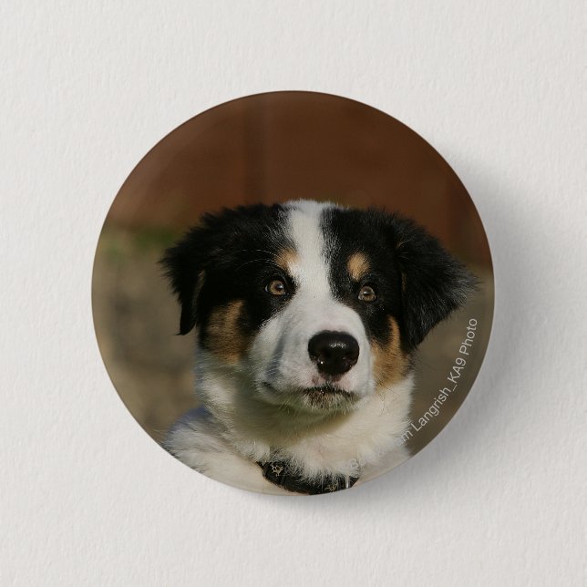 12 Week Old Border Collie Puppy Headshot 6 Cm Round Badge (Front)