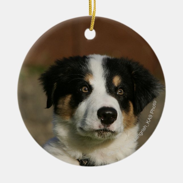 12 Week Old Border Collie Puppy Headshot Ceramic Tree Decoration (Front)
