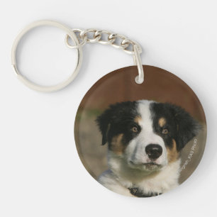 12 Week Old Border Collie Puppy Headshot Key Ring