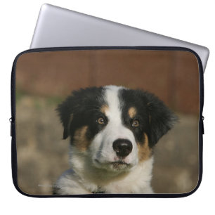 12 Week Old Border Collie Puppy Headshot Laptop Sleeve