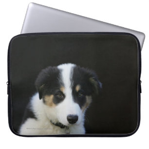 12 Week Old Border Collie Puppy Laptop Sleeve