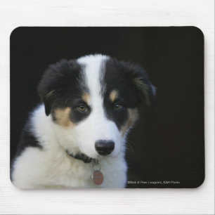 12 Week Old Border Collie Puppy Mouse Mat