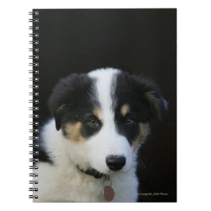 12 Week Old Border Collie Puppy Notebook