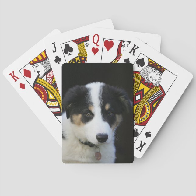 12 Week Old Border Collie Puppy Playing Cards (Back)