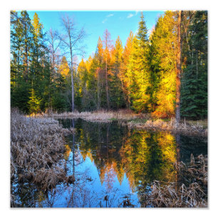 12”x12" Photo Print    Perfect Pond