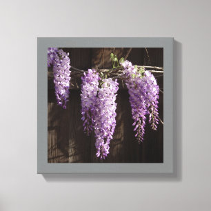 12" x 12" Purple Wisteria on Wooden Fence Canvas Print