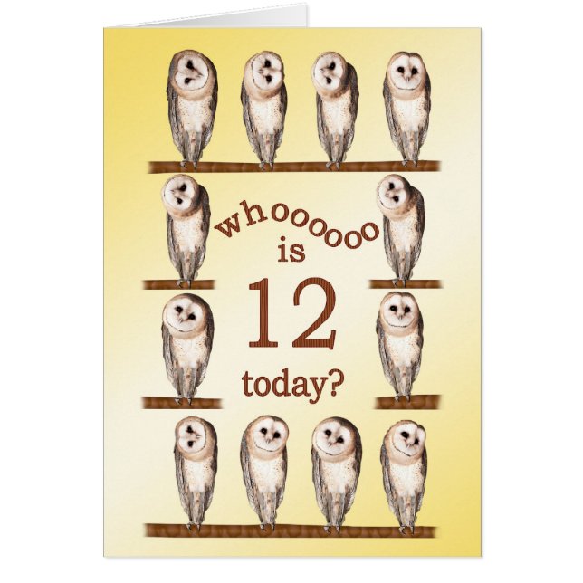 12th birthday, Curious owls card. (Front)