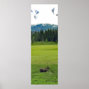 12x36 Poster Paper (Matte) of moose