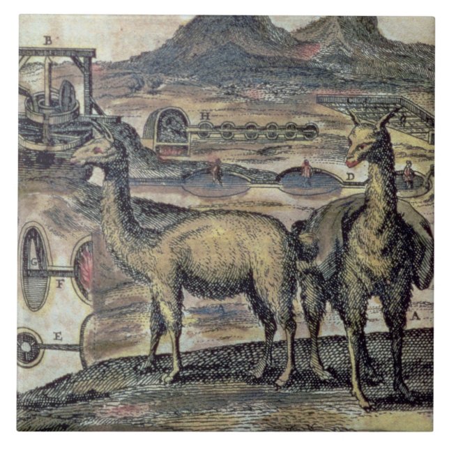 137-0627924 Illustration from a history of Peru sh Tile (Front)