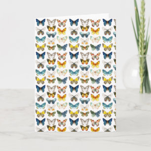 13 beautiful butterflies insect art watercolor card