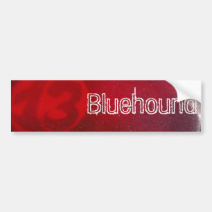 13 Bumpersticker Bumper Sticker