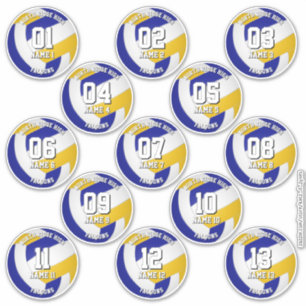 13 kids teens blue gold volleyball club colors