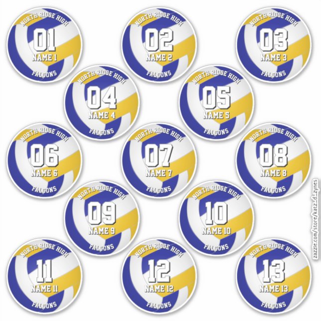 13 kids teens blue gold volleyball club colors (Front)