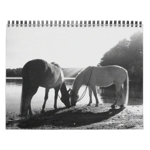 13 month 2011 Calendar