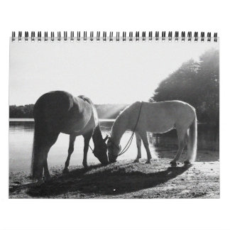 13 month 2011 Calendar