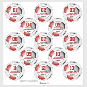 13 pc set kids red black soccer team colours