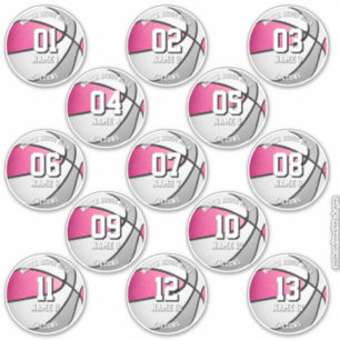 13 pink gray team colors basketball stickers