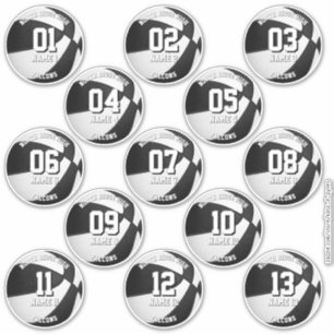 13 stickers for basketball players w team colors