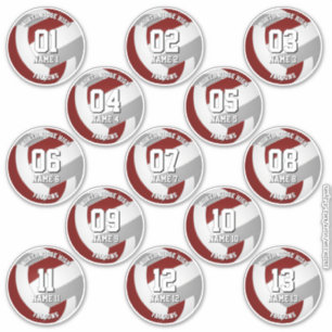 13 volleyball players maroon grey team colours