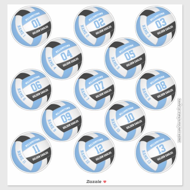 13 volleyball players names light blue black  (Sheet)