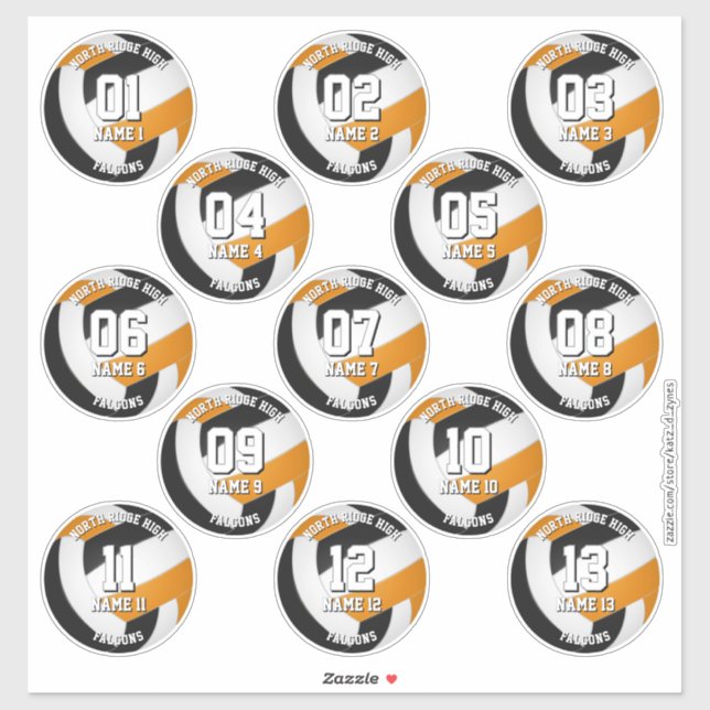 13 volleyball players orange black team colours (Sheet)