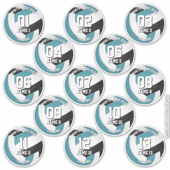 13 volleyball players teal black team colours (Front)