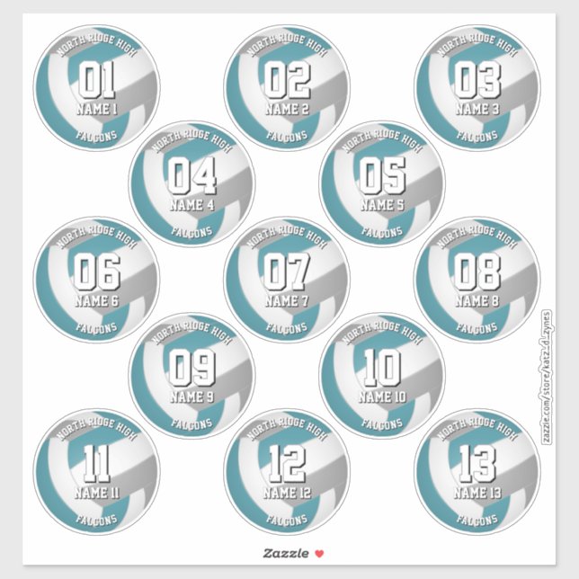 13 volleyball players teal grey team colours (Sheet)