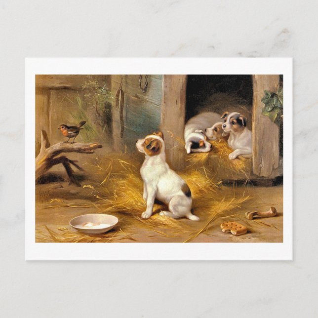 13a The Puppies Postcard (Front)