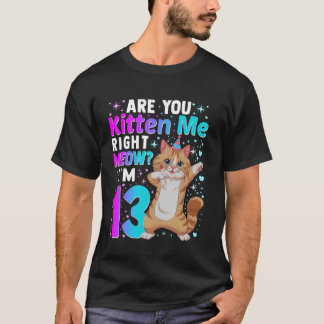 13th Birthday Cat Design for 13 Year Old Birthday  T-Shirt
