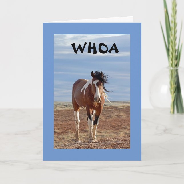 **13th BIRTHDAY** FROM COMEDIC HORSE Card (Front)