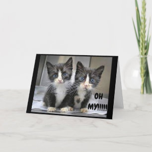 **13th BIRTHDAY** KITTENS SAY WOW!!!! Card