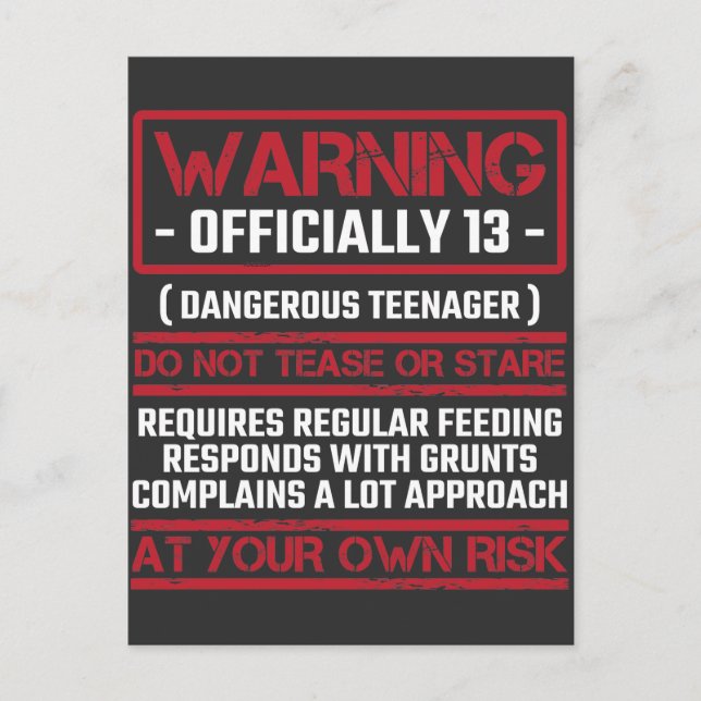 13th Birthday Officially Teenager 13 Year Old Kid Postcard (Front)