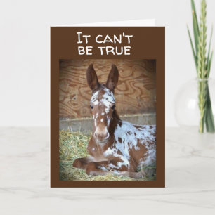 **13th BIRTHDAY** WISH FROM A COMEDIC HORSE Card