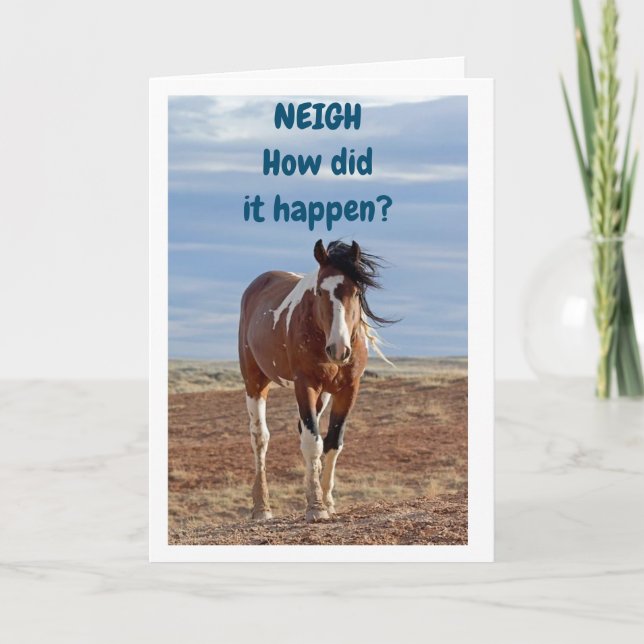 ***13th BIRTHDAY**** WOW SAYS SURPRISED HORSE Card (Front)