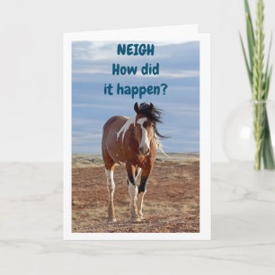 ***13th BIRTHDAY**** WOW SAYS SURPRISED HORSE Card