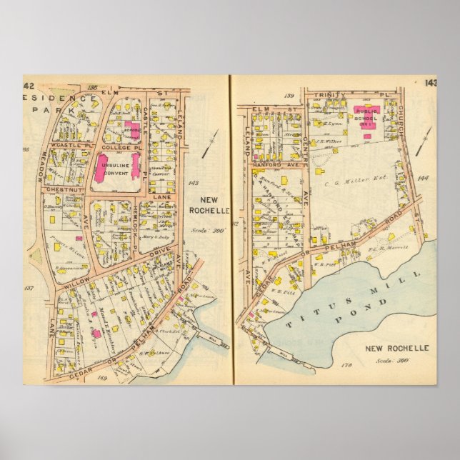 142143 New Rochelle Poster (Front)