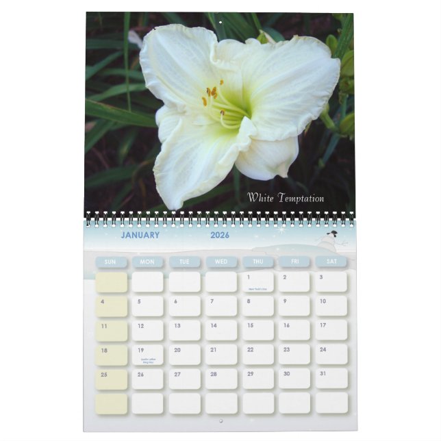 14720033, Lumberton daylilies 048, Lumberton da... Calendar (Jan 2026)