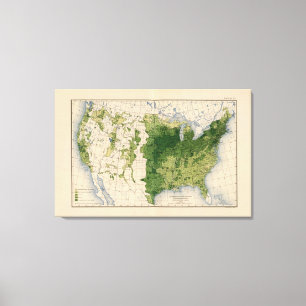 147 Neat cattle/sq mile Canvas Print