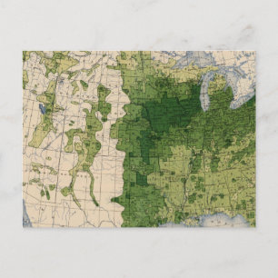147 Neat cattle/sq mile Postcard