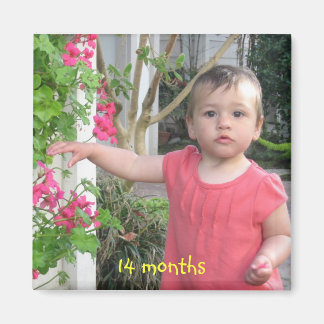 14 months, 14 months magnet