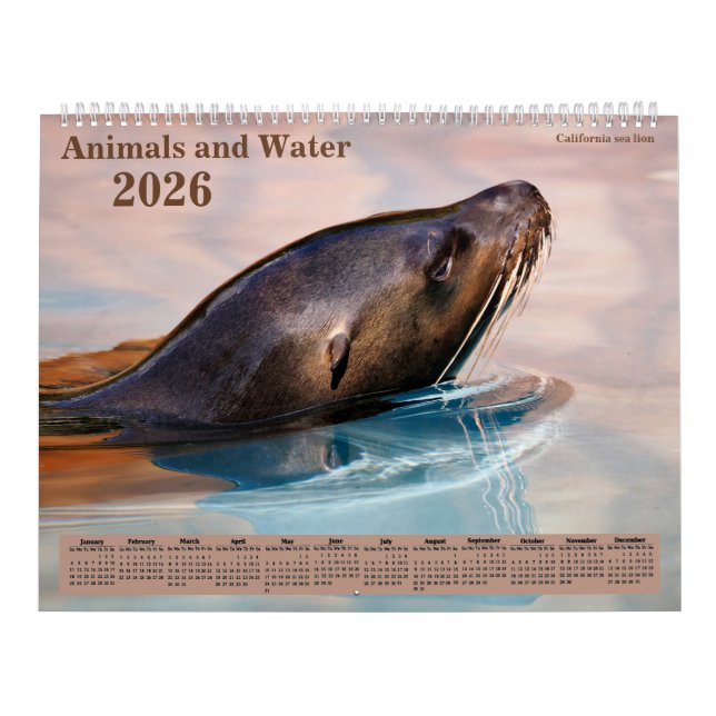 14 photos os animals and water calendar (Cover)