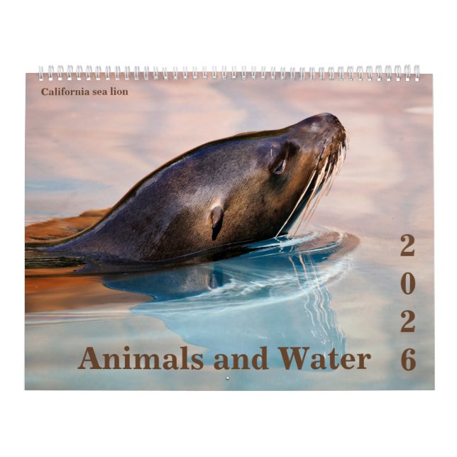 14 photos os animals and water calendar (Cover)