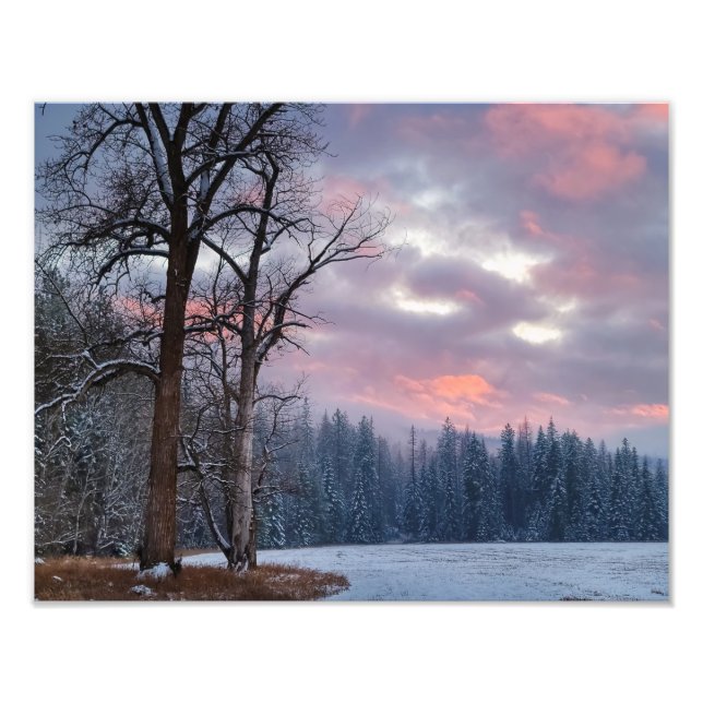 14"x11" Photo Print || Cottonwood Sunset (Front)
