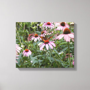 14" x 11", Wrapped Canvas Photo with Pink Daisies