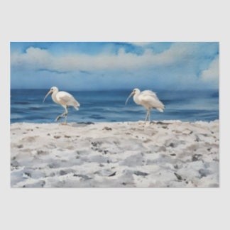 14 x 20 Beach Birds Tissue Paper 10lb