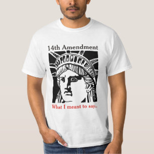 14th Amendment 3 T-Shirt
