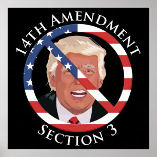 14th Amendment Anti-Trump Poster